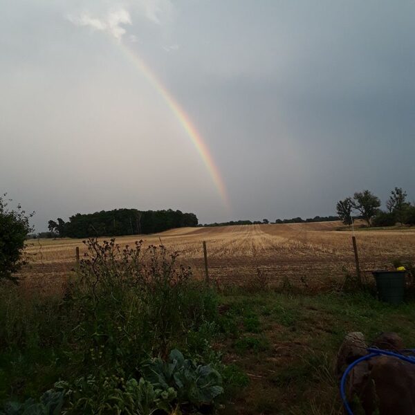 Ein Donnerhall und eine Engelerscheinung, Verstorbene Seelen aus der russischen Bedrängnis