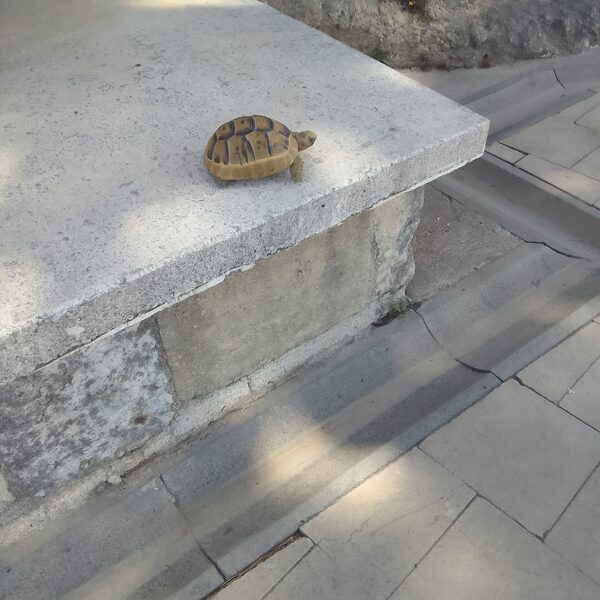 Jeder Besucher wird gesehen und begrüsst
