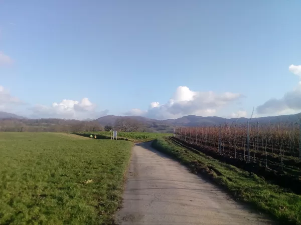 Der Weg zu einem Ziel als neuer Himmelsbürger