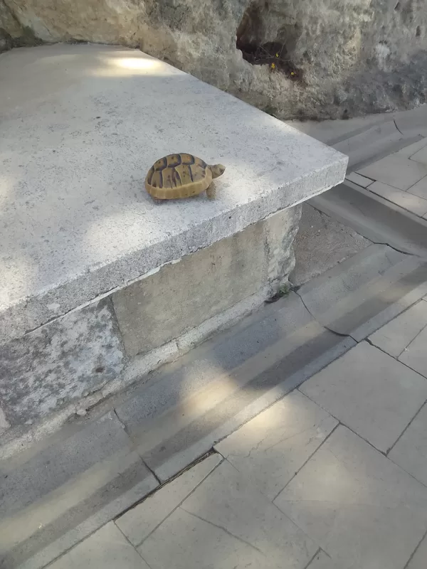 Jeder Besucher wird gesehen und begrüsst